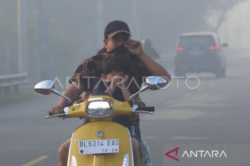 BPBA: Kasus karhutla di Aceh mulai menurun di September