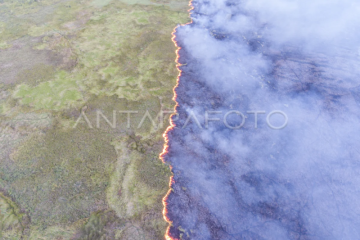 Kebakaran lahan di samping jalan tol Palembang-Indralaya