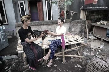 Tradisi "Ngumbuq",  ajang pembuktian cinta di Lombok Tengah