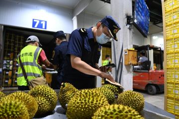 Pelabuhan perbatasan China-Vietnam tangani 300.000 kendaraan kargo