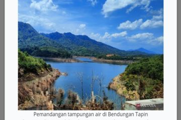 BWS Kalimantan III mendukung tanam padi 1.000 hektare
