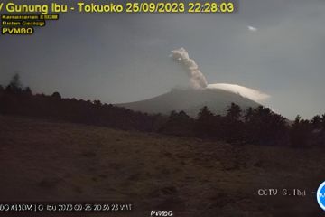 Gunung Ibu kembali erupsi memuntahkan abu setinggi 1.000 meter