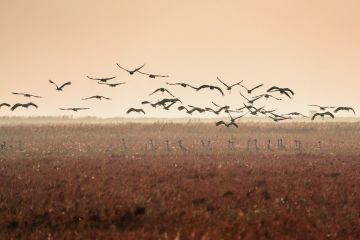 World Coastal Forum upayakan solusi untuk koeksistensi manusia, alam