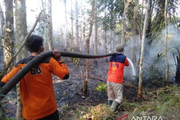 Karhutla 3 desa di Kabupaten OKU-Sumsel dipadamkan satgas BPBD