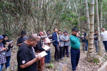 Peserta tiga negara belajar pengolahan bambu di Hutan Bambu Bulaksalak