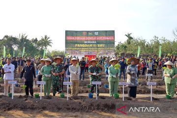 Pemda-TNI bersinergi tingkatkan produktivitas kopi Bengkulu