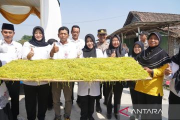 Bupati Mojokerto minta petani jaga kualitas tembakau