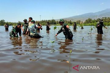 Ribuan mangrove ditanam TNI di Pantai Makam Keramat Lombok Timur