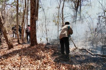 Taman Nasional Baluran ditutup untuk padamkan kebakaran