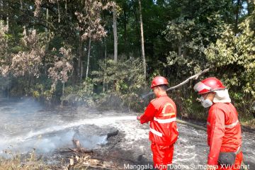 Manggala Agni upayakan pemadaman karhutla di Sumatera Selatan