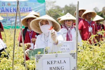 BMKG gencarkan sekolah lapang iklim ke petani perkuat ketahanan pangan