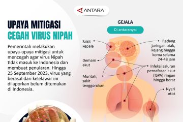 Upaya mitigasi cegah virus Nipah