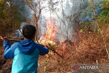 Menteri LHK: Potensi Karhutla meningkat di musim kemarau