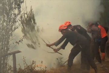BPBD: 600 hektare lebih lahan terbakar di  kawasan hutan TNBTS