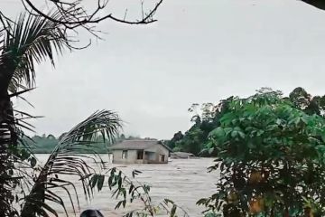 Banjir landa dua kabupaten, ini langkah BPBD Kaltara