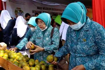 DKP giatkan diversifikasi pangan di Kalimantan Barat