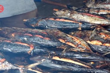 Ikan asar jadi andalan buah tangan khas Kota Jayapura