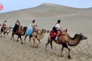 Jangan lewatkan naik unta di gurun Gobi saat kunjungi Dunhuang