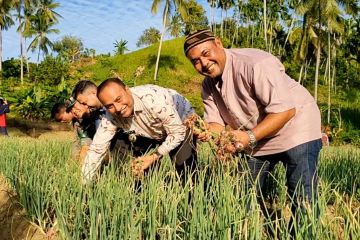 Panen perdana bawang merah di bekas lahan tidur Lhokseumawe Aceh