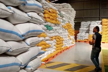 Perum Bulog Makassar siapkan 5000 ton beras hingga akhir tahun