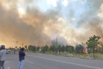 Petugas padamkan api di di kawasan bandara Syamsudin Noor Kalsel