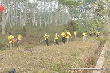 Ribuan pegawai Pemprov Kalsel dikerahkan bersihkan semak belukar