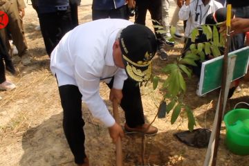 Kaltim realisasikan carbon fund lewat perhutanan sosial