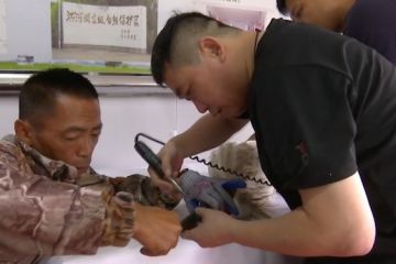 Bangau putih oriental langka jalani transplantasi paruh di China
