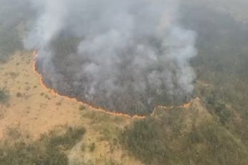 Kebakaran di Gunung Arjuna meluas, pemadaman lewat darat dan udara