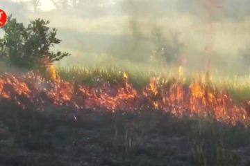 BMKG minta dua kabupaten di Sultra waspada kekeringan dan karhutla