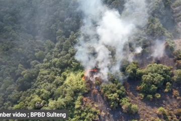 Titik api dan kebakaran di Sulteng meluas terpengaruh El Nino