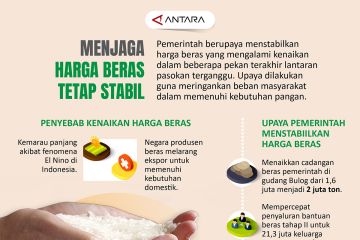 Menjaga harga beras tetap stabil