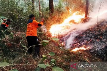 BPBD Jatim terjunkan tim pemadam atasi karhutla Gunung Lawu