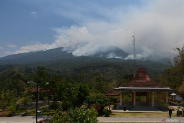 BPBD petakan area hutan dan lahan yang terbakar di Gunung Lawu