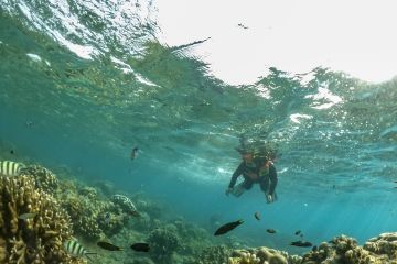 Kepulauan Seribu, surga tersembunyi di ujung Jakarta