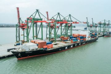 Trafik kapal domestik di Terminal Teluk Lamong naik tajam