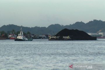 APBI minta dilibatkan dalam pembahasan tarif di Pelabuhan Muara Berau