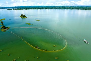 Album Asia: Mengintip aktivitas menangkap ikan di Danau Kaptai