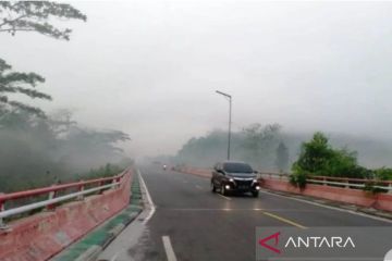 Kabut asap ganggu jarak pandang di jalan Pulang Pisau-Palangka Raya