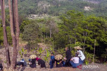 Warga Badui gelar tradisi Ngaseuk saat musim kemarau