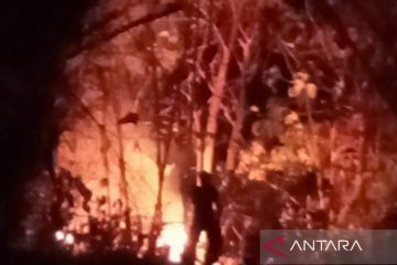 Tim pemadam atasi kebakaran hutan bambu dekat pemukiman di Pamekasan