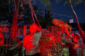 Pohon tumbang tersangkut truk akibatkan kemacetan di Jalan Daan Mogot