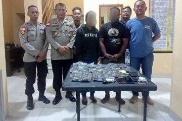 TNI-Polri-BC Jayapura tangkap penyelundup ganja di perbatasan RI-PNG