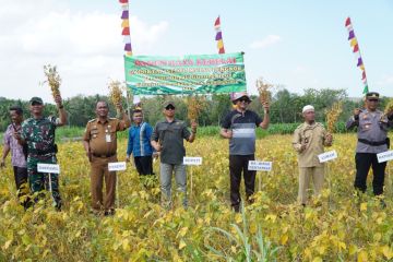 Pemkab Gunungkidul laksanakan regenerasi petani jaga ketahanan pangan