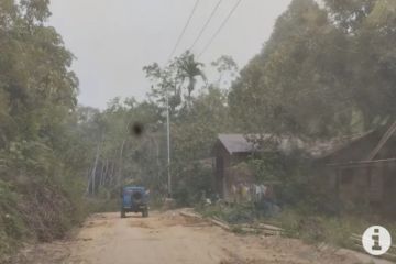 Kementerian LHK lepas kawasan hutan Tabalong seluas 4.520 hektare