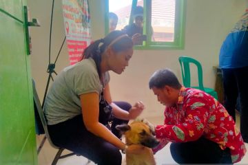 Pemkab Bangka berikan layanan vaksinasi rabies gratis