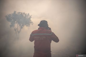 Luas lahan terbakar akibat karhutla