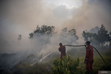 Mengatasi siklus empat tahun kebakaran hutan gambut