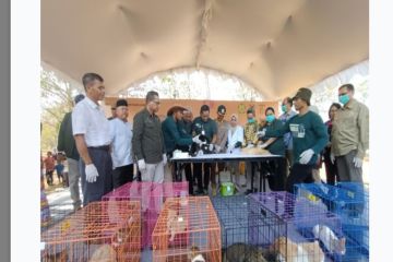 Balai Veteriner Banjarbaru gencarkan vaksinasi rabies di Kalimantan 