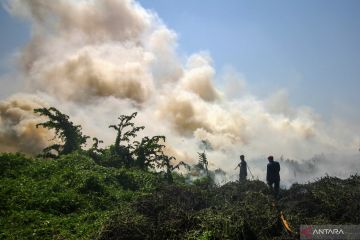 Kebakaran lahan di Sidoarjo